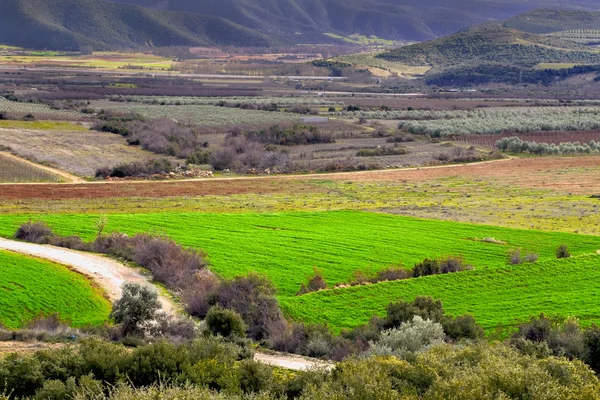 Valle vicino a Kavala città in Grecia — Foto Stock