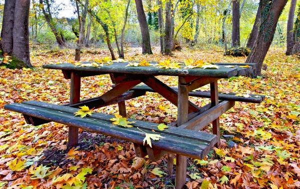 Träbord och bänk i en skog på hösten — Stockfoto