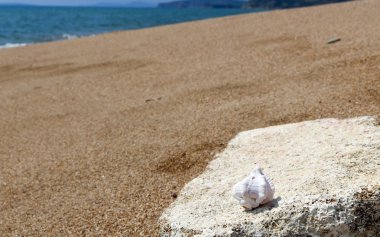 Finikounta plaj Mora Yunanistan