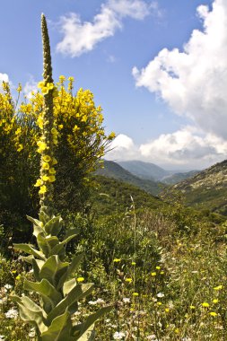 Yunanistan arkadian manzara