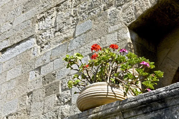 Flower pot in a traditional village in Greece — Stock Photo, Image