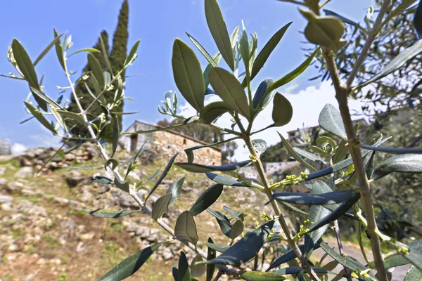 Kardamyli villaggio di Mani, Grecia — Foto Stock