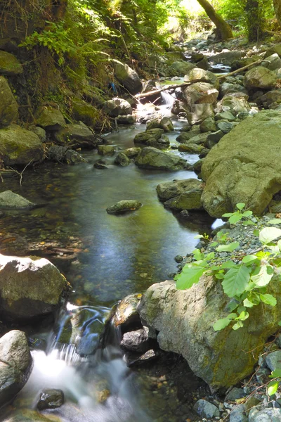 Fluss der Fonias auf der Insel Samothraki in Griechenland — Stockfoto