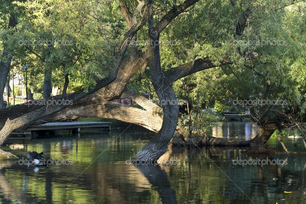 Saint Varvaras entspringt bei Drama Stadt in Griechenland — Stockfoto