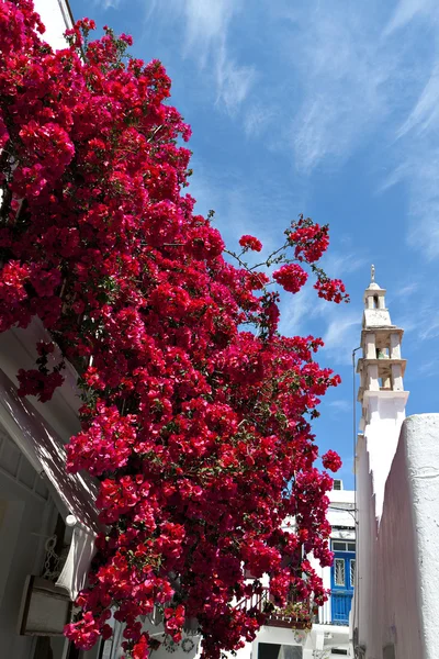 Mykonos ilha na Grécia — Fotografia de Stock