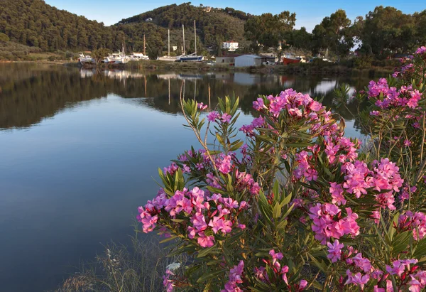 Skiathos eiland in Griekenland — Stockfoto