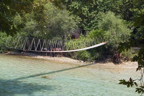 Fiume Aheron e gola in Grecia — Foto Stock