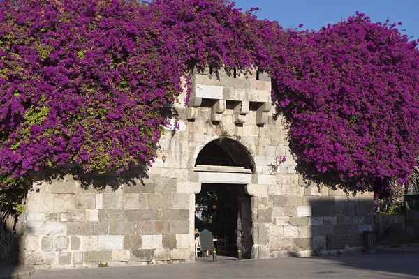 Luoghi di interesse e punti di vista dalla capitale dell'isola di Kos in Grecia — Foto Stock