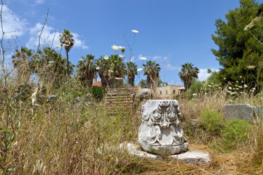 Şehir Manzaralı ve Yunanistan Kos adasından tarihi yerler