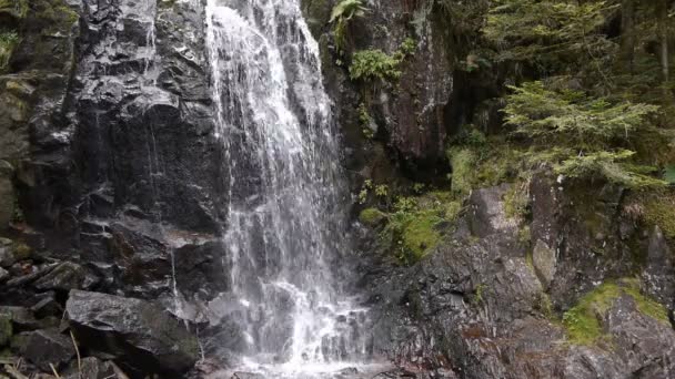 Водопад с камнями — стоковое видео