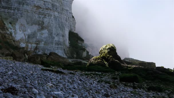 Steile kliffen op het rotsachtige strand — Stockvideo
