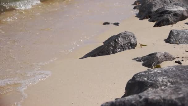 Orilla y rocas marinas — Vídeos de Stock