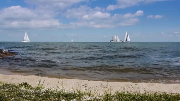 Havsstranden och segelbåtar — Stockvideo