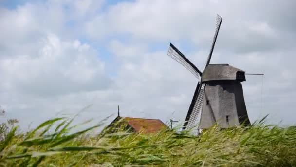 Molino de viento holandés — Vídeo de stock