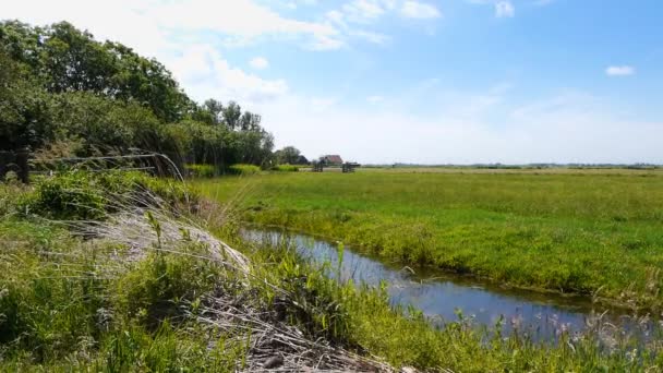 Paysage néerlandais — Video