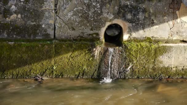 Water stream in front of an old brick wall — Stock Video