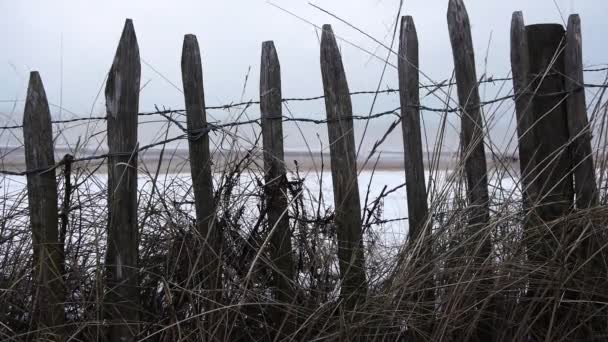 Op de duinen naar het strand in de winter — Stockvideo