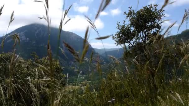 Paisagem dos Pirinéus franceses — Vídeo de Stock