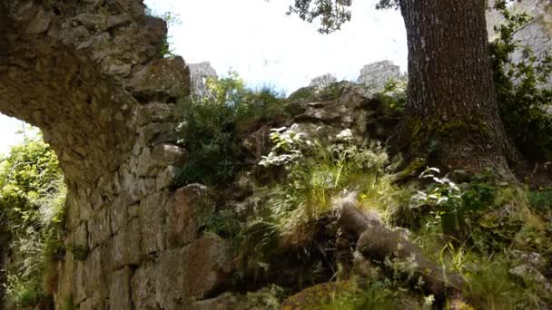 Ruinas de los cátaros — Vídeo de stock