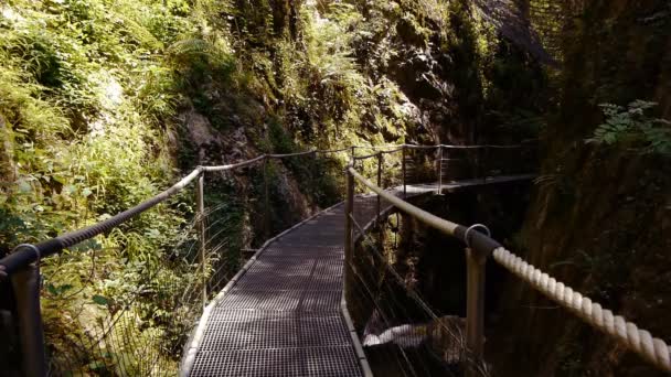 Hangbrug in de gorges de la fou, Frankrijk — Stockvideo