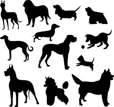 Köpekler