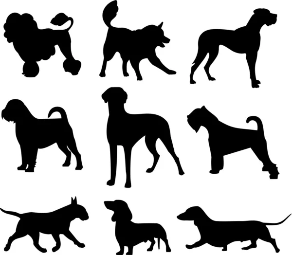 Honden set — Stockvector