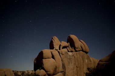 Joshua Tree Ulusal Parkı