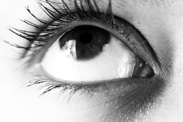 Eye close-up — Stock Photo, Image