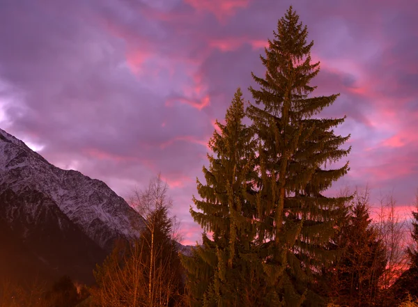 Mont blanc — Stock Photo, Image