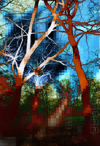 Пиксельные деревья — стоковое фото