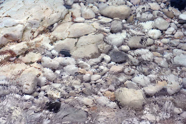 물 바위 — 스톡 사진