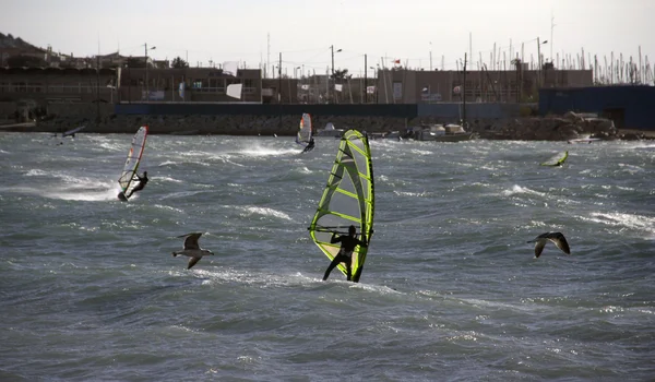 Windsurfers — Stock Photo, Image