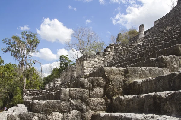 Ruiny Majów w calakmul, Meksyk — Zdjęcie stockowe