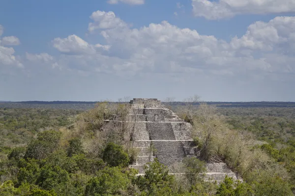 Maya harabelerini calakmul, Meksika — Stok fotoğraf