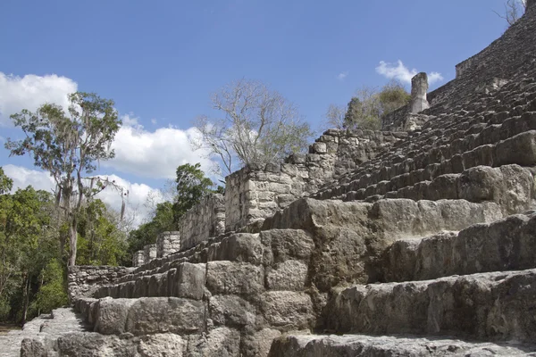 Ruinas mayas en Calakmul, México — Foto de Stock