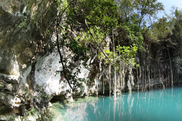 Mexikanska cenote, Slukhål — Stockfoto