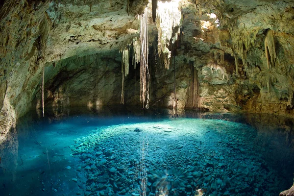 Cenote meksykański, Lej krasowy — Zdjęcie stockowe