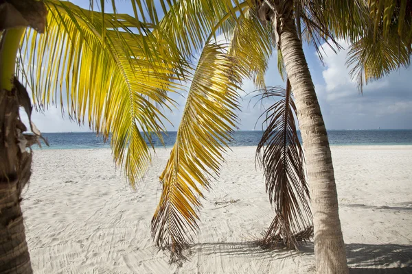 Isla mujeres mexico — Stock Photo, Image