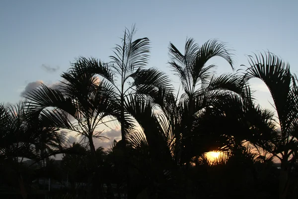 Sunset at cancun, mexico — Stock Photo, Image