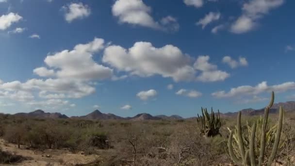 Aika-raukeaminen kaunis aavikko maisema Baja Kaliforniassa sur, Meksiko — kuvapankkivideo