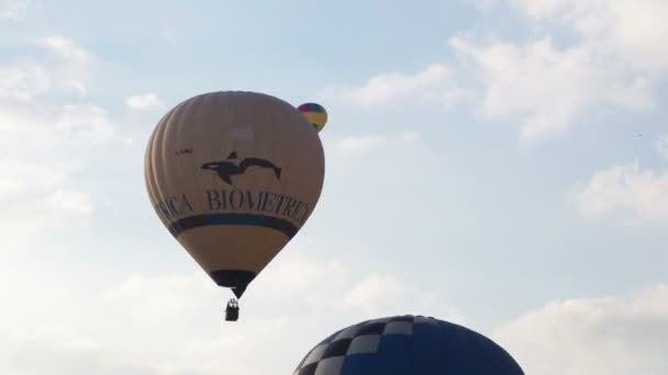 Globos de aire caliente participan en el festival europeo de globos , — Vídeo de stock