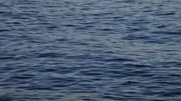 Vagues chevauchant sur la plage avec des reflets de lumière du soleil 