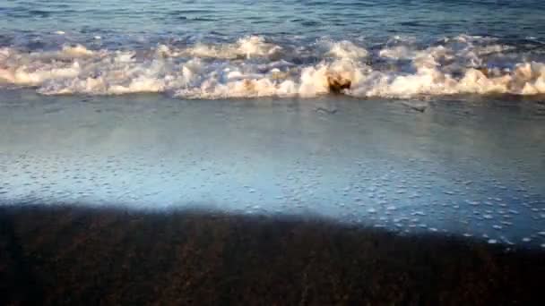 Onde che lambiscono la spiaggia con riflessi di luce solare — Video Stock