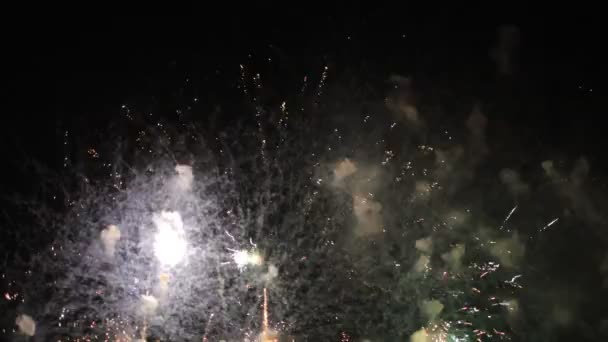 Spettacolo di fuochi d'artificio durante la festa della mercanzia — Video Stock