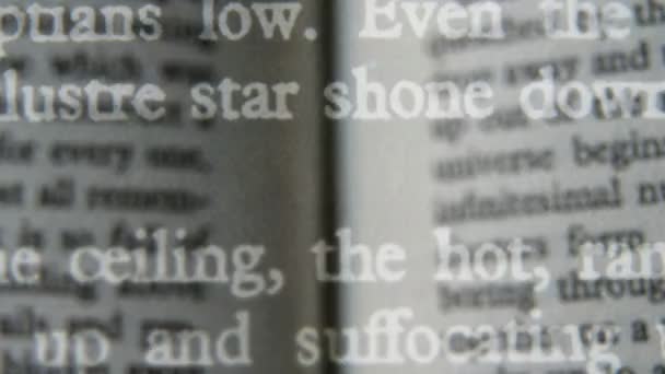 Verschillende lagen van close-up van verschillende pagina's van een boek — Stockvideo