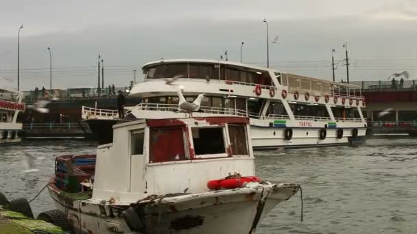 Traghetti e barche nello stretto di Bosphorus, istriani, tacchini — Video Stock