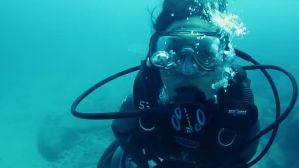 Прыжки с акваланга у острова Козумель, Мексика — стоковое видео