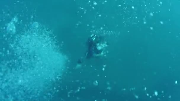 Прыжки с акваланга у острова Козумель, Мексика — стоковое видео