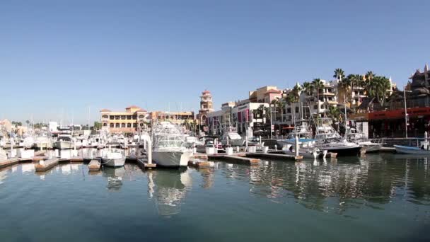 Skott av hamnen och båtarna i cabo san lucas, Mexiko — Stockvideo