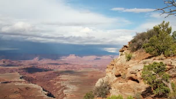 Die erstaunlichen Felsstrukturen an den Canyonlands, utah, usa — Stockvideo